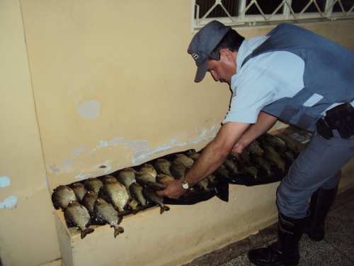 Polícia apreende peixes capturados irregularmente