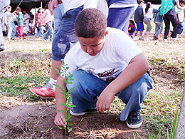 “Semana da Água e do Ribeirão Lajeado” começa amanhã