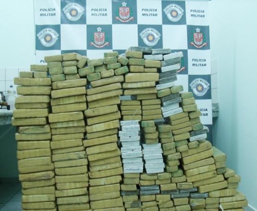 Polícia de Alto Alegre apreende mais de 300 quilos de maconha