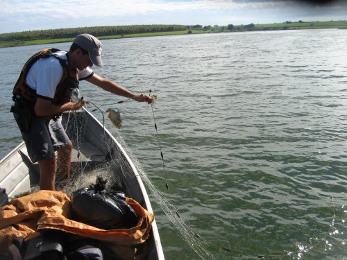 Polícia Ambiental prende duas pessoal por pesca irregular