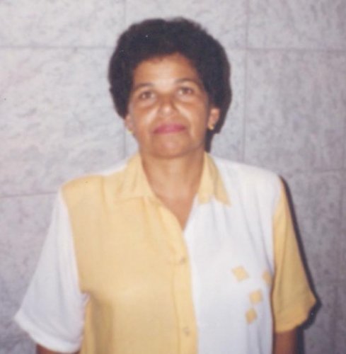 Câmara realiza solenidade em homenagem às mães amanhã