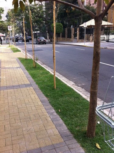 Câmara Municipal aprova projeto para calçada que ajuda escoamento de água