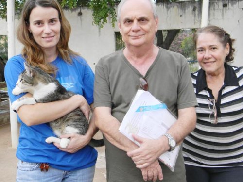 Associação Protetora de Animais passa por reestruturação