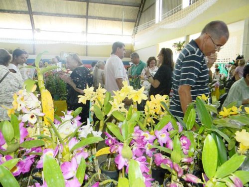 ATRAÇÃO: Exposição de orquídeas ainda pode ser visitada hoje