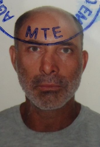 Lavrador morre em colisão entre charrete e carro