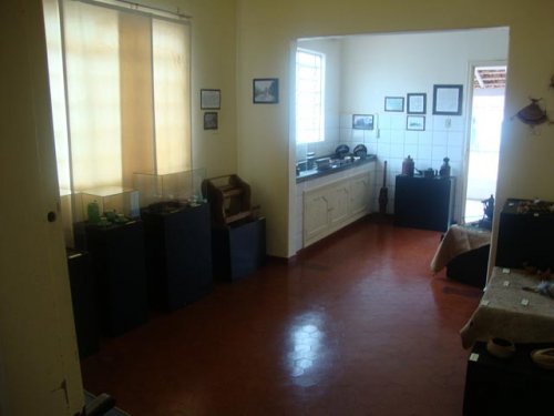 Detalhes Notícia