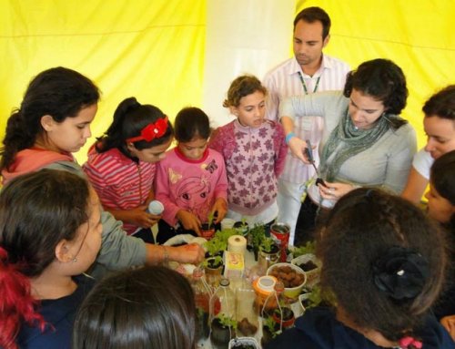 Prefeitura convida para encerramento da Semana do Meio Ambiente hoje 