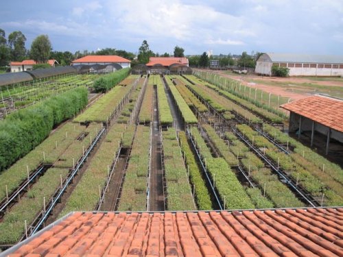 Câmara aprova renovação de comodato de área para Flora Tietê