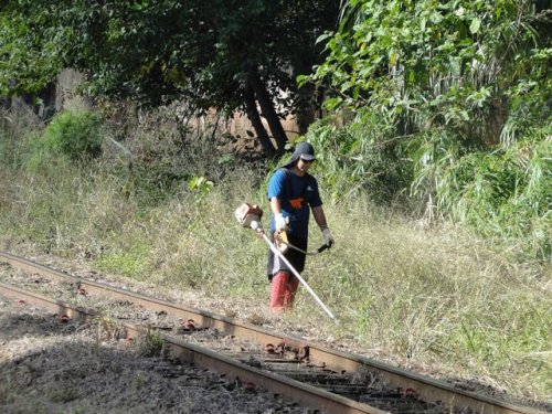 Faxina: Prefeitura intensifica limpeza e melhora visual da linha férrea