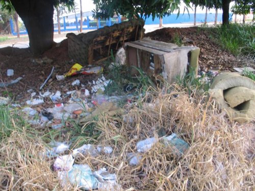 Detalhes Notícia