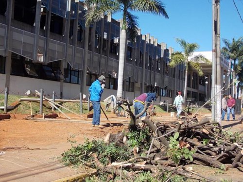Moradores questionam corte de árvores na prefeitura