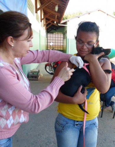 Vacinação termina com mais de 7.500 animais imunizados na cidade