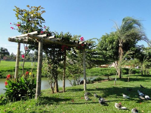 Prefeitura e Daep comemoram Dia da Árvore e da Criança Ecológica