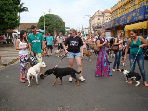1ª Semana Animal de Penápolis será realizada de 4 a 10 de outubro