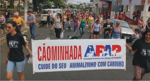 Cãominhada abre hoje as atividades da 1ª Semana Animal de Penápolis