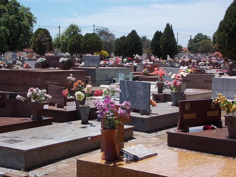 Cemitérios já recebem flores e cuidados para 'Finados'