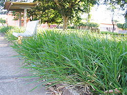 Tiquinho cobra limpeza de creche do Jardim Eldorado