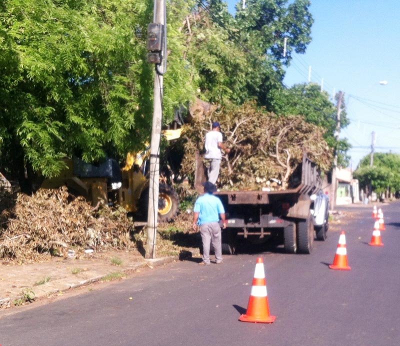 Prefeitura faz mutirão para recolher árvores caídas em toda cidade