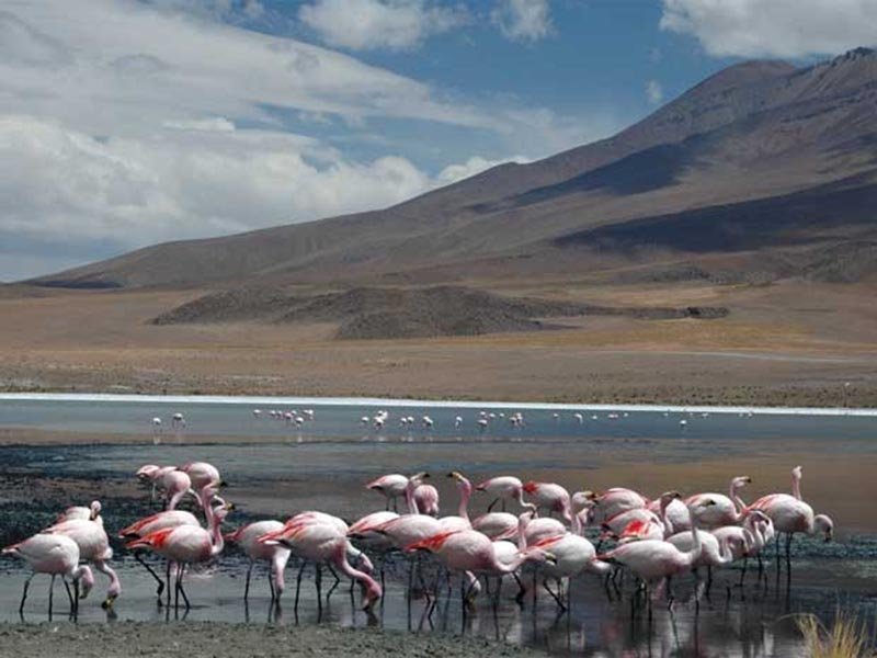 Biblioteca recebe exposição fotográfica sobre a Bolívia