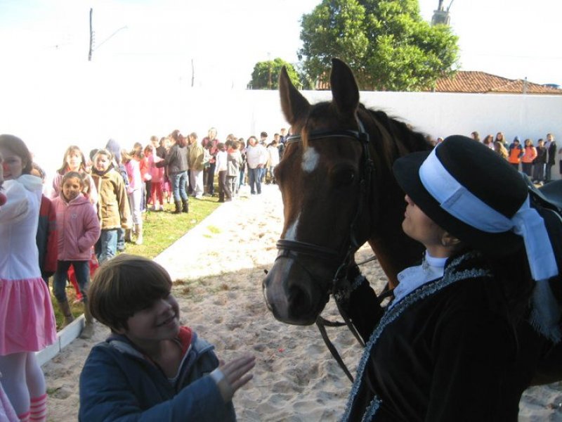 História de equitadora penapolense e cavalo vira livro