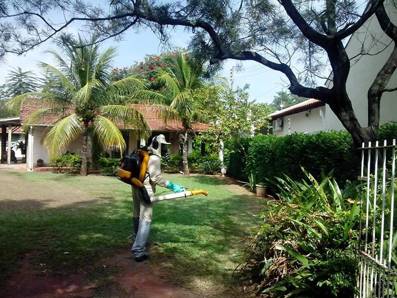 Serviço de Vigilância pede colaboração da comunidade durante trabalho de nebulização