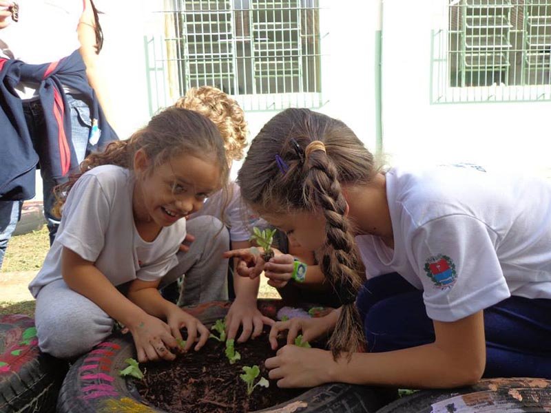 Alunos do CEU Montaha cultivam horta em canteiro feito de pneus