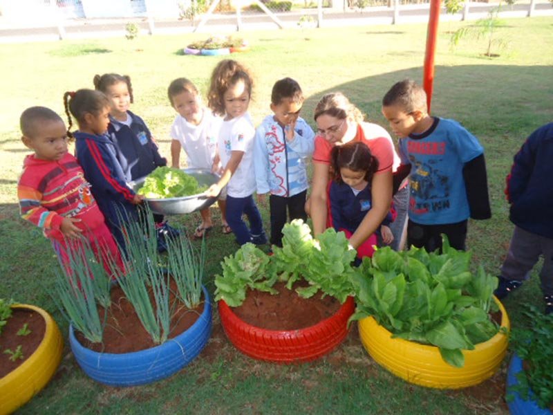 Alunos do Ceim Cecília Meireles cultivam jardim e horta em pneus