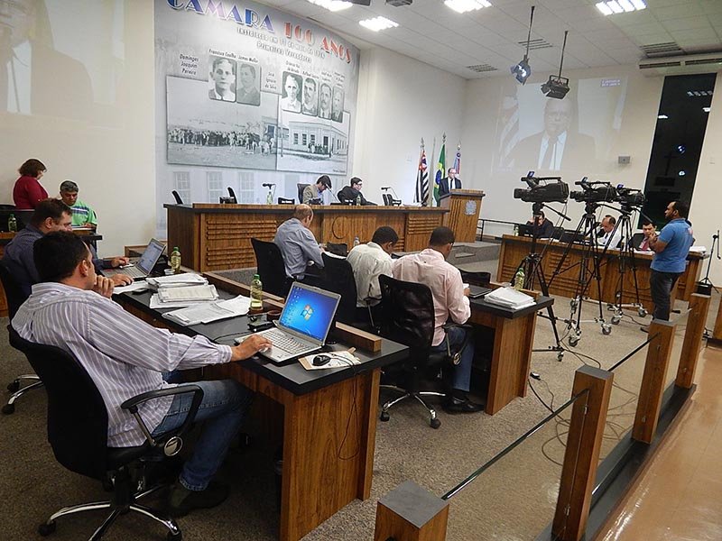 Câmara aprova exigências para quem trabalha com corte de árvores