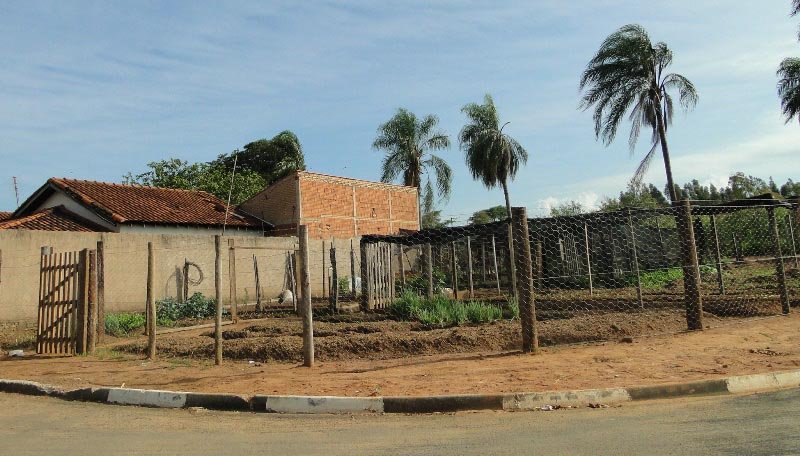 Horta Comunitária do Sílvia Covas será entregue a comunidade hoje