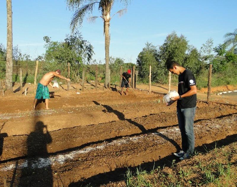 Moradores do Sílvia Covas e Osvaldo Vizoni recebem nova Horta Comunitária
