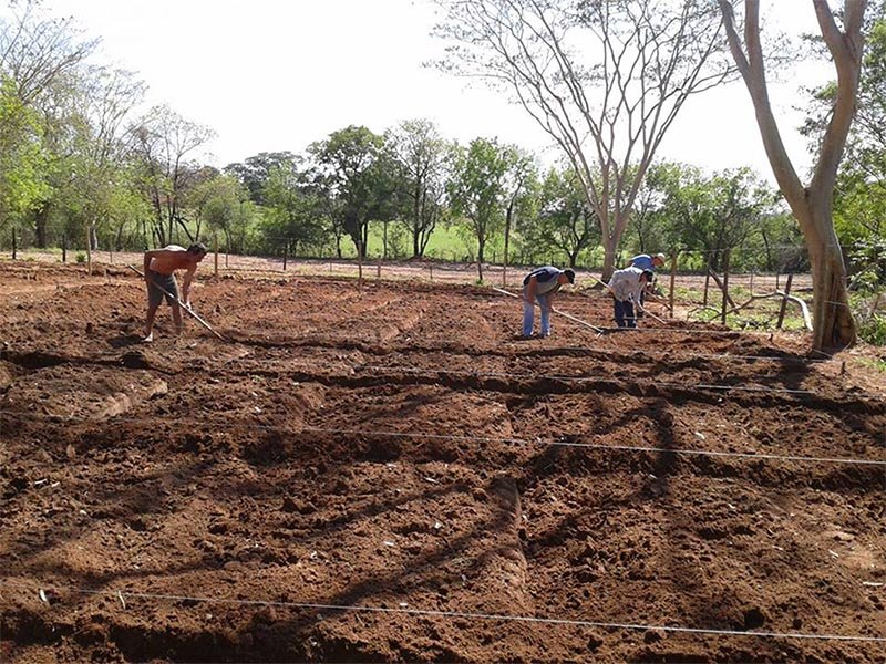Santa Terezinha recebe nova Horta Comunitária hoje