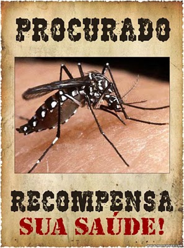 Câmara Municipal participará do dia de mobilização contra a dengue amanhã