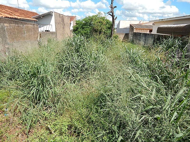 R$ 500,00: Câmara aprova multa no combate a terrenos sujos