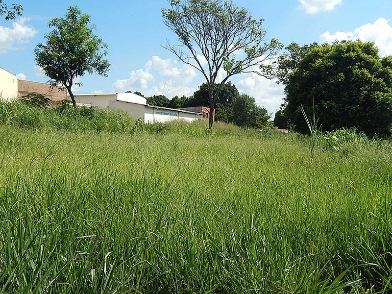 Perímetro urbano: Defesa para limpeza da linha férrea é feita na Câmara