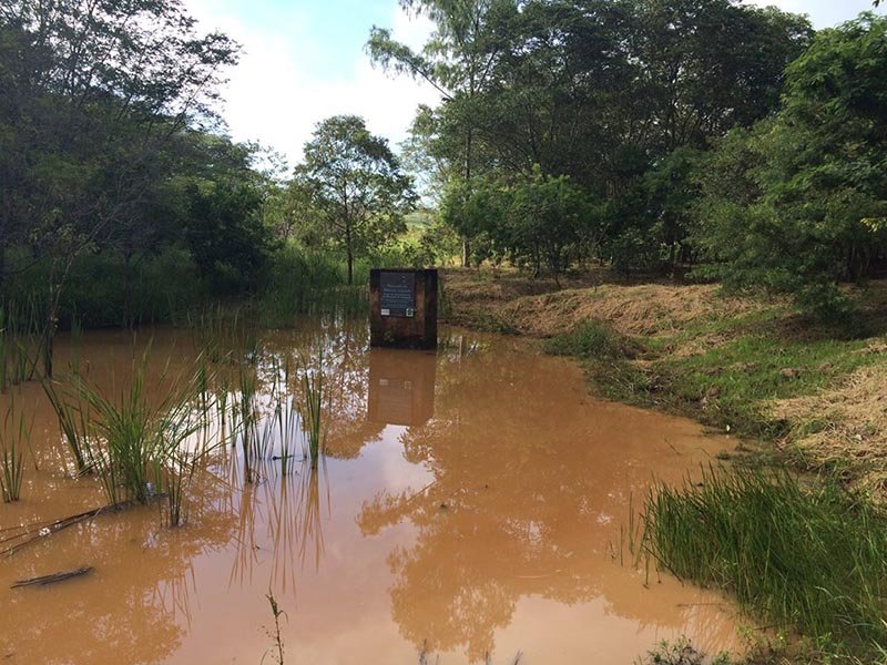 Consórcio Ribeirão Lajeado faz preservação e garante abastecimento da cidade