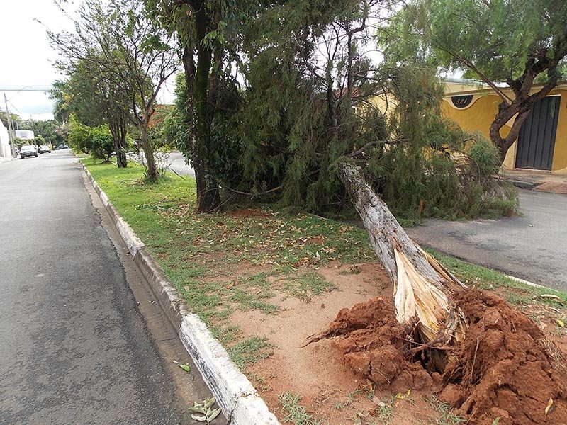 Temporal: Moradores chegam a ficar 16 horas sem energia