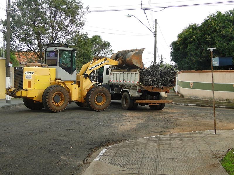 Prefeitura inicia projeto para plantio de árvores nas calçadas da cidade