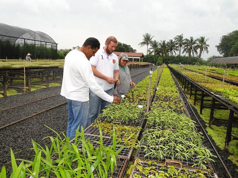 Especial Agricultura: Parceria com a Flora Tietê garante o plantio de mais de 2.000 mudas