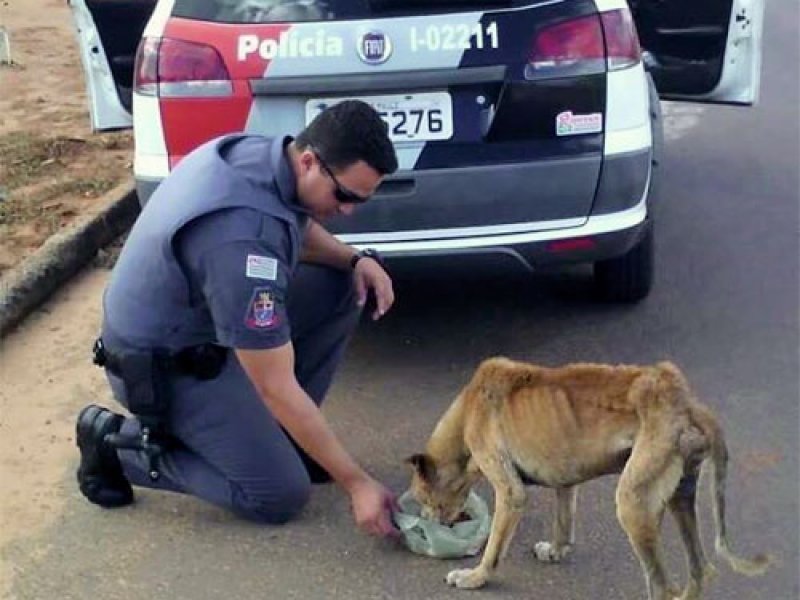 Detalhes Notícia