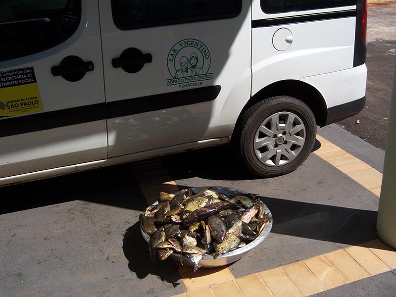 Polícia Ambiental flagra pesca irregular no Tietê