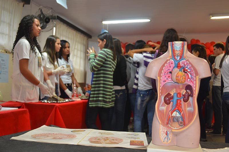 Alunos usam mostra cultural para promover conhecimento