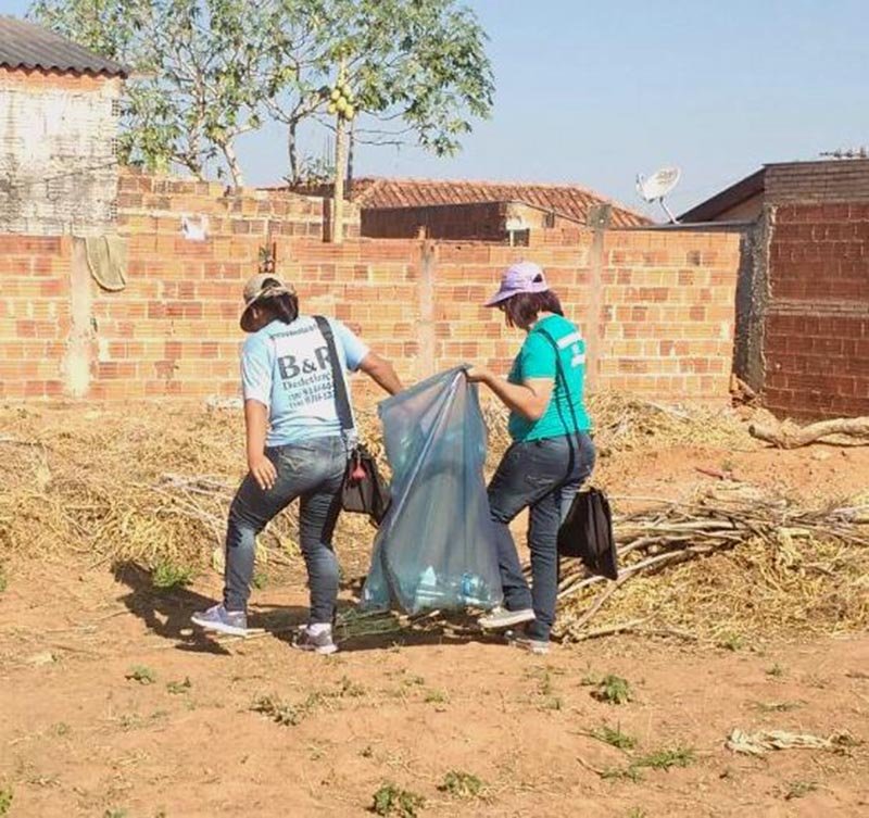 Operação Quintal Limpo chega à última fase