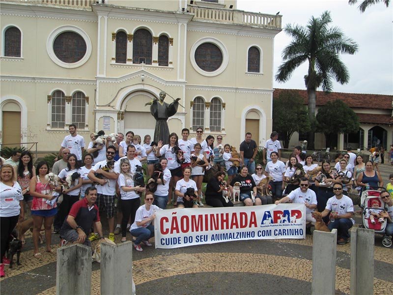 APAP promove 4ª edição da Cãominhada em Penápolis