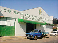 União: Dia Internacional do Cooperativismo é comemorado hoje