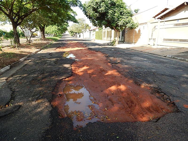 Detalhes Notícia