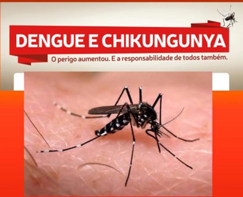 Limpeza: Câmara cobra mutirão para os próximos 3 meses