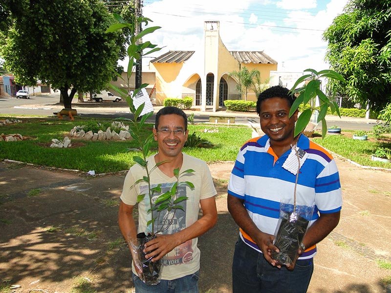 Parceria entre Prefeitura e Paróquia Santa Teresinha estimula plantio de árvores