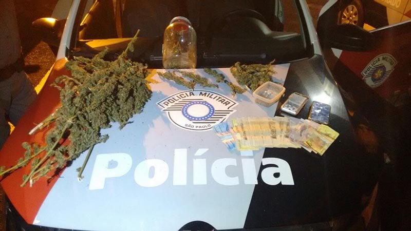 PM apreende plantas de maconha com jovens
