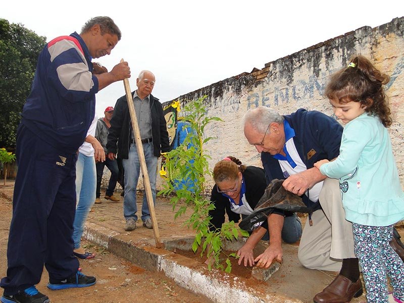 Projeto de arborização urbana ganha parceria do Lions