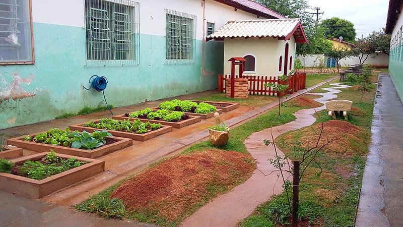 Horta na escola: do canteiro direto para refeição dos alunos